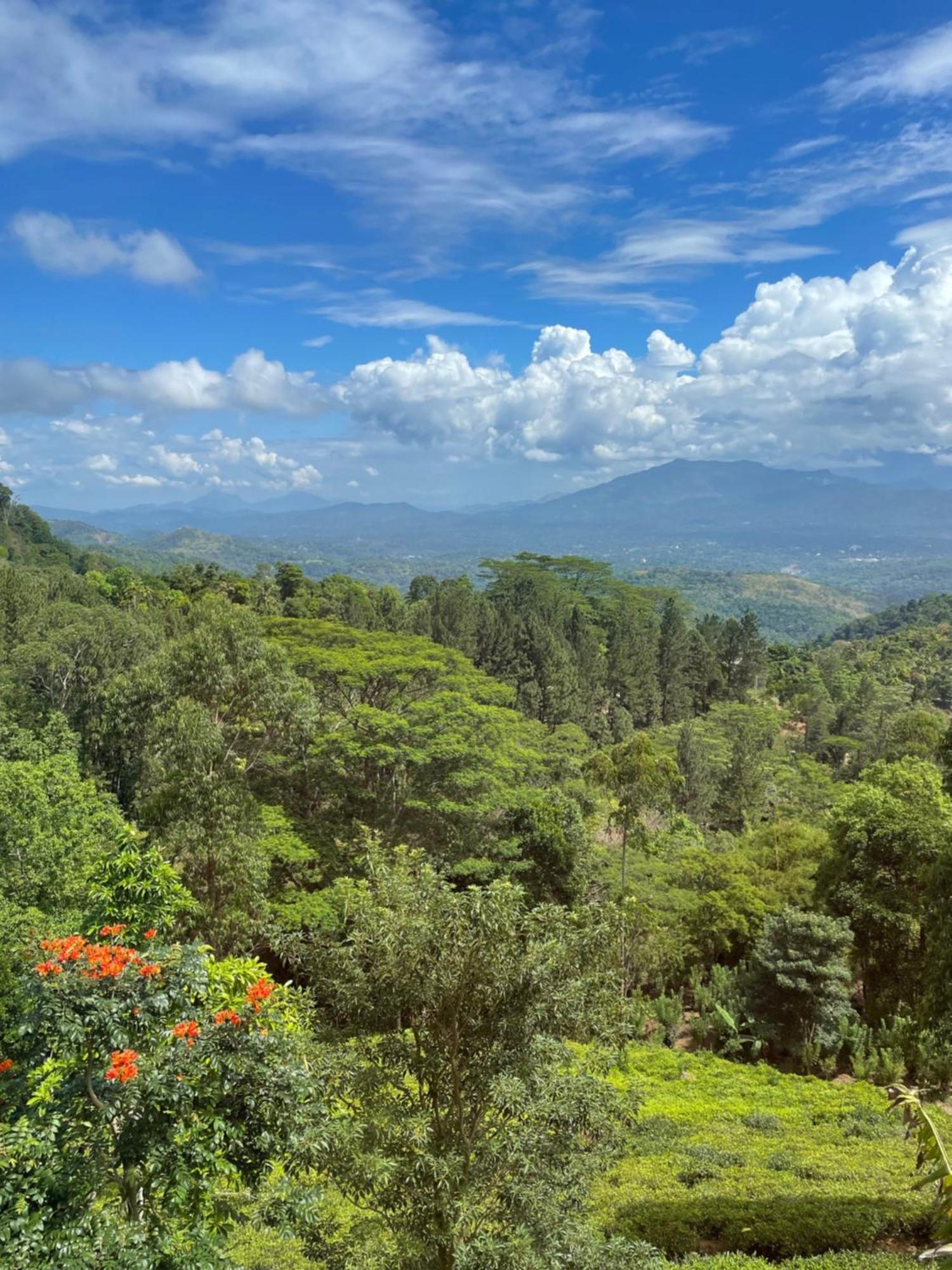 Bellwood Hills Resort & Spa Kandy Exterior foto